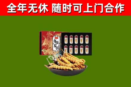 三亚回收冬虫夏草价格